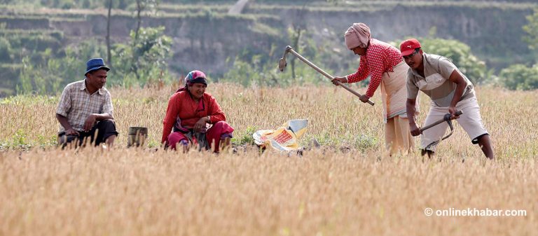 अब हामी जोगिन नजोगाई भएन प्राकृतिक खेती