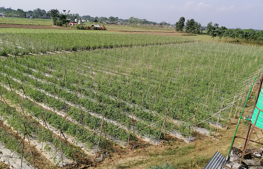 प्रधानमन्त्री कृषि आधुनिकीकरणको प्रभावकारी कार्यान्वयन गर्न निर्देशन