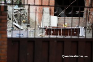 टीकाको अघिल्लो दिन जब छोराको शव आयो…