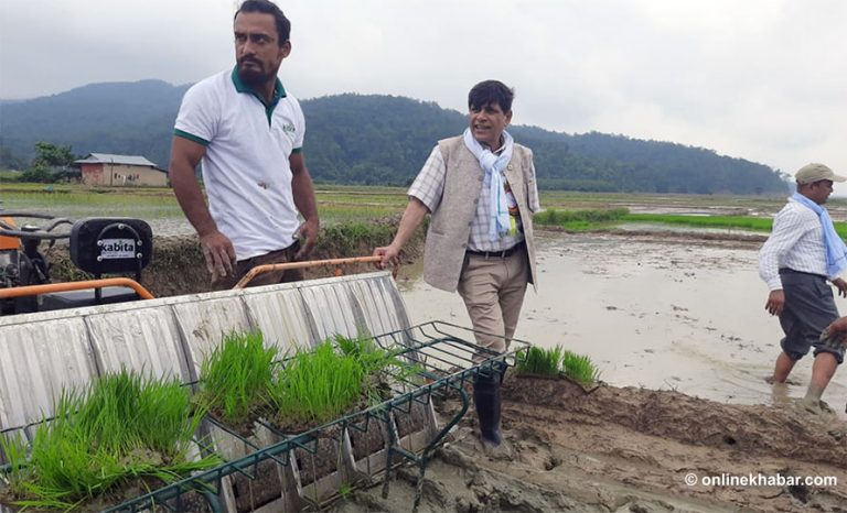 कृषिमन्त्रीले उद्घाटन गर्ने बेलैमा मेसिनले धान रोपेन !