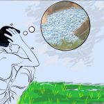 रोपाइँलाई मल अभाव जोखिम, भारतसँग माग्दै सरकार