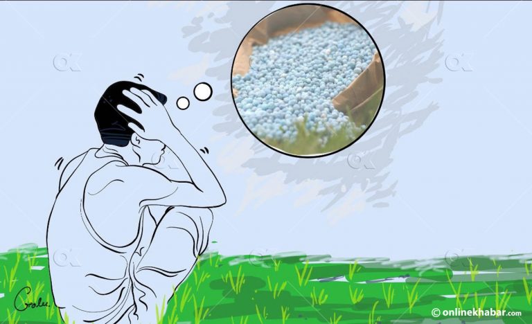 रोपाइँलाई मल अभाव जोखिम, भारतसँग माग्दै सरकार