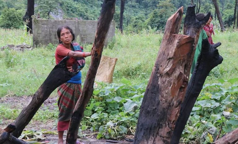 चेपाङको घर जलाएको घटना छानबिन गर्न वन मन्त्रालयको टोली चितवन आउँदै