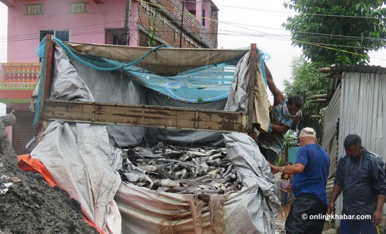 क्याट फिस आयात : भन्सारले जाँचपास गर्‍यो, प्रहरीले नष्ट