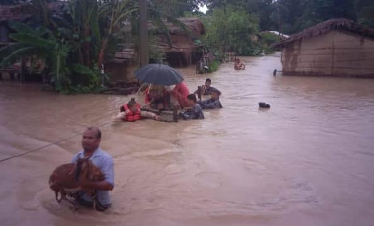 कैलालीमा बाढीले बगाउँदा ४ जना बेपत्ता, ६ हजार बढी घर डुबानमा