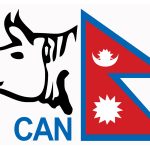 नेपाली क्रिकेट