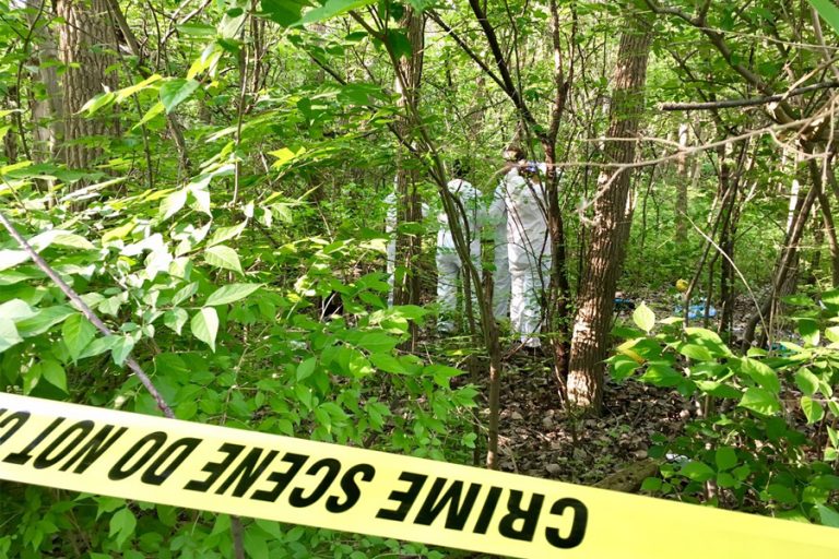 कैलालीमा अनुहार जलेको अवस्थामा जंगलभित्र भेटियो युवतीको शव