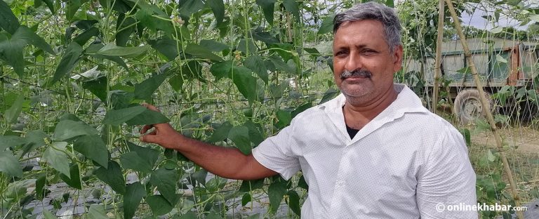 ‘‍‍‍…अनि मैले कलम छोडेर कोदालो उचालें’