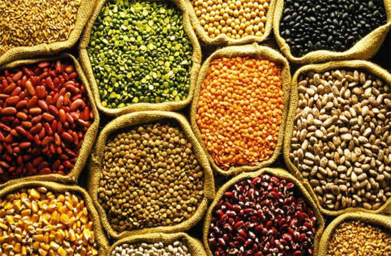 २ महिनादेखि दाल–गेडागुडीको भाउ ओरालो, किलोमै ५० सम्म घट्यो