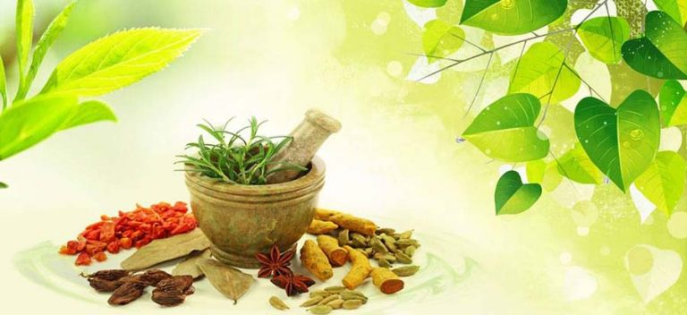 यी नौ औषधिय प्रतिक हुन् नवदुर्गा