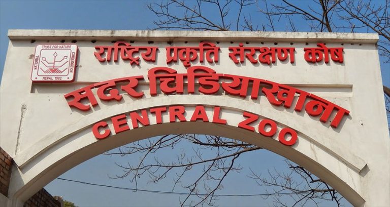 नयाँ वर्षदेखि सदर चिडियाखाना बेलुकी ८ बजेसम्म खुल्ने