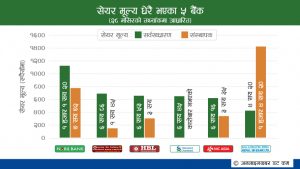 पब्लिक भर्सेस प्रमोटर सेयर : कहीँ नभएको अभ्यास नेपालमा