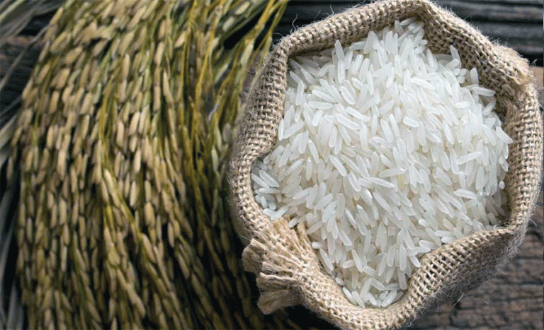 नेपालमा पौष्टिक तत्व स्तरोन्नति गरिएको चामल तथा आपूर्ति शृङ्खला व्यवस्थापन परियोजना सुरु