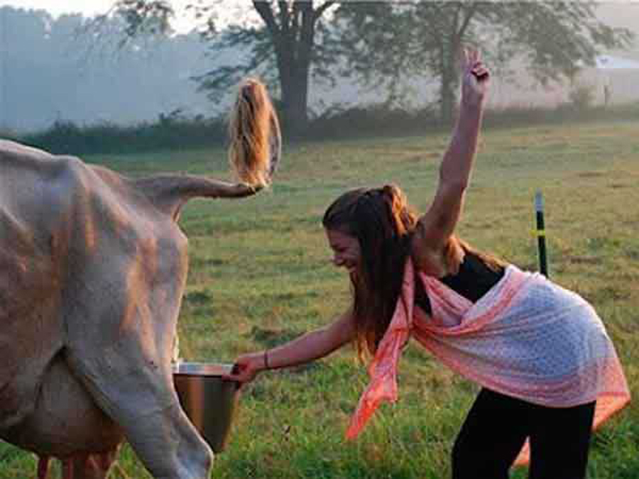 आयुर्वेदिक महत्वको गौमूत्र : वैज्ञानिक दृष्टिमा के–के छन् फाइदा ?