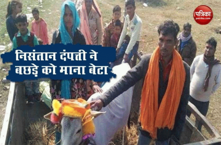निसन्तान दम्पतीले बछेडोलाई बनाए छोरा, ५०० जनालाई भव्य भोज