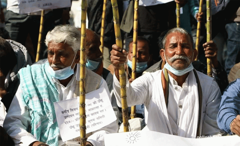 उद्योगीले तिर्न अटेर गरेपछि उखु किसानको बक्यौता पुनःगणना गरिने