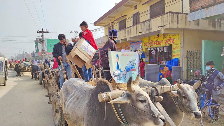 ओलीलाई व्यंग्य गर्दै धनगढीमा बयलगाडा जुलुस