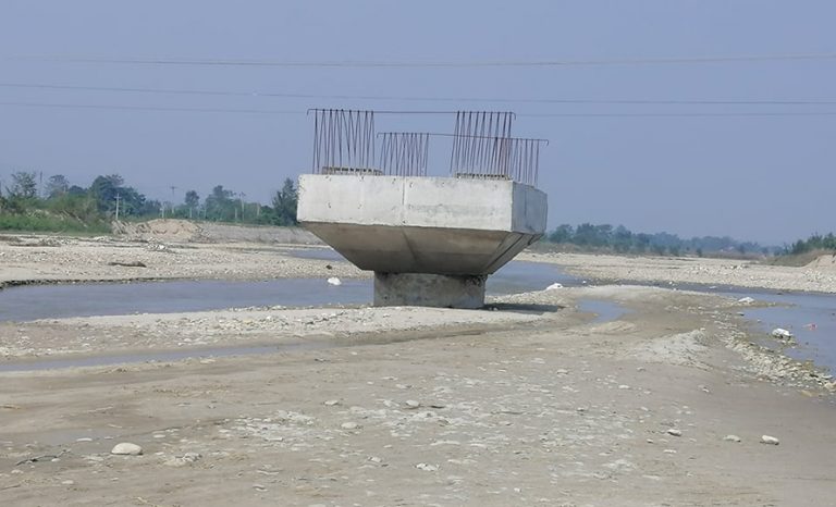 माडीको पुल बनाउन चितवन राष्ट्रिय निकुञ्जले दियो सहमति