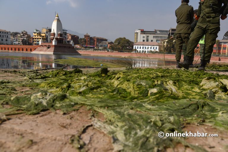 जालमार्फत रानीपोखरीको लेउ र झ्याउ हटाउन थालियो (फोटो फिचर)