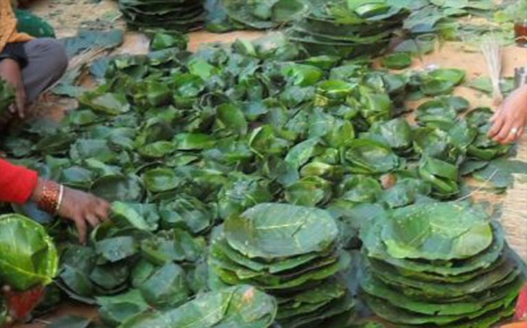 हराउँदै गाउँघरमा परम्परागत टपरी