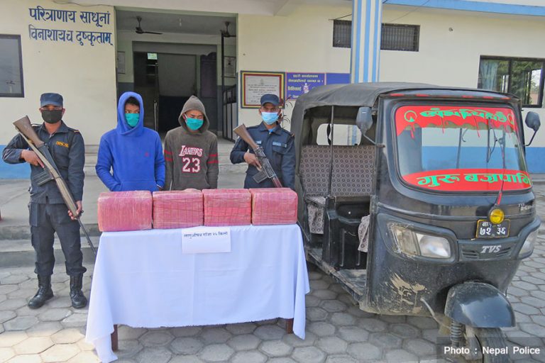 २५ किलो गाँजासहित २ जना पक्राउ