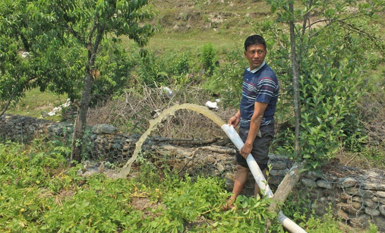 आलु खेतीमा जमेका प्रकाश सर   