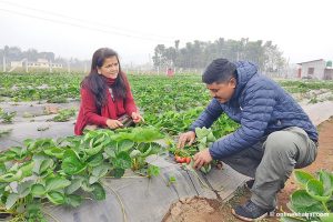 राष्ट्रिय कृषि गणना वैशाखमा, देशभर ५ हजार गणक खटि‌ने