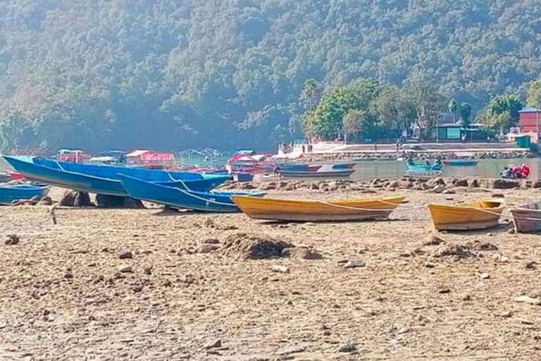 ४२ वर्षपछि फेवातालको बाँध मर्मत   