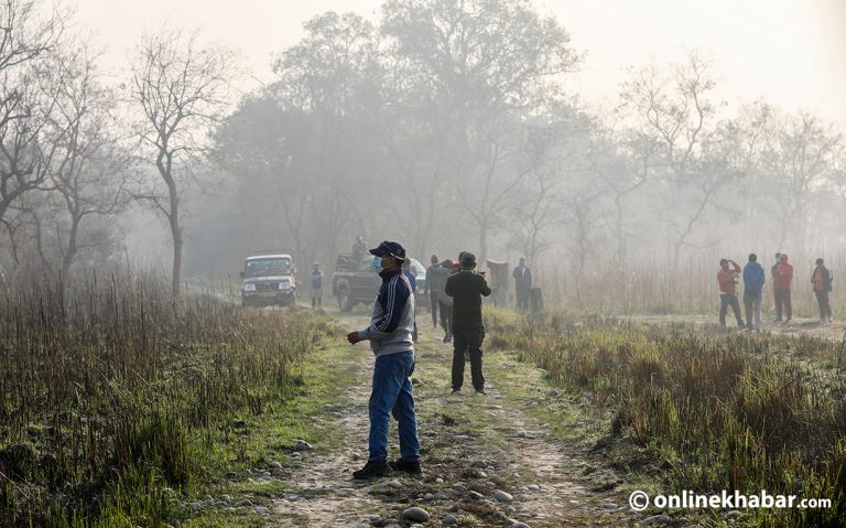 कञ्चनपुरको शुक्ला–लालझाडी–जोगबुडामा बाघ गणना सुरु