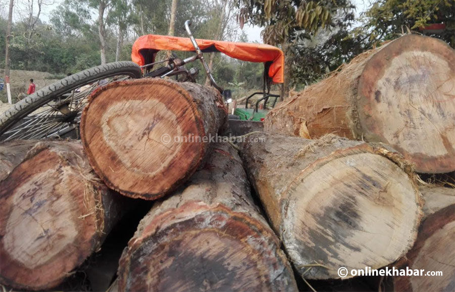 कैलालीमा अवैध काठसहित फर्निचर उद्योग सञ्चालक पक्राउ