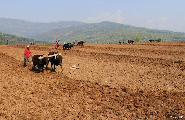 कानुन बनेको पाँच वर्षसम्म पनि भएन किसानको वर्गीकरण