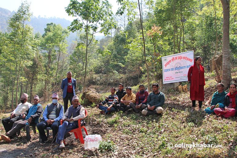 गुल्मीमा आयमूलक कृषि, वन प्रवर्द्धनका लागि वृक्षारोपण गरिने