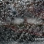 आज केही ठाउँमा भारी वर्षाको सम्भावना