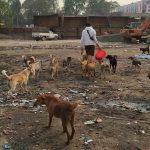 ‘कुकुर मार्छु’ भन्ने वडाध्यक्षलाई कारबाही गर्न माग