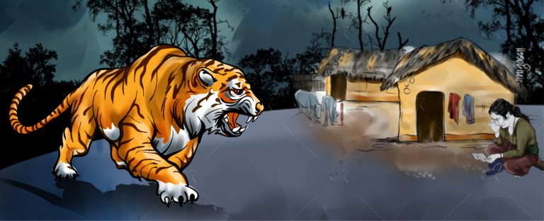 बर्दियामा बाघ : संख्या बढ्यो, असुरक्षा पनि बढ्यो 