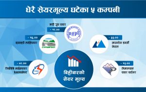 नेप्से एक अंकले घट्दा ११३ कम्पनीको मूल्यमा गिरावट