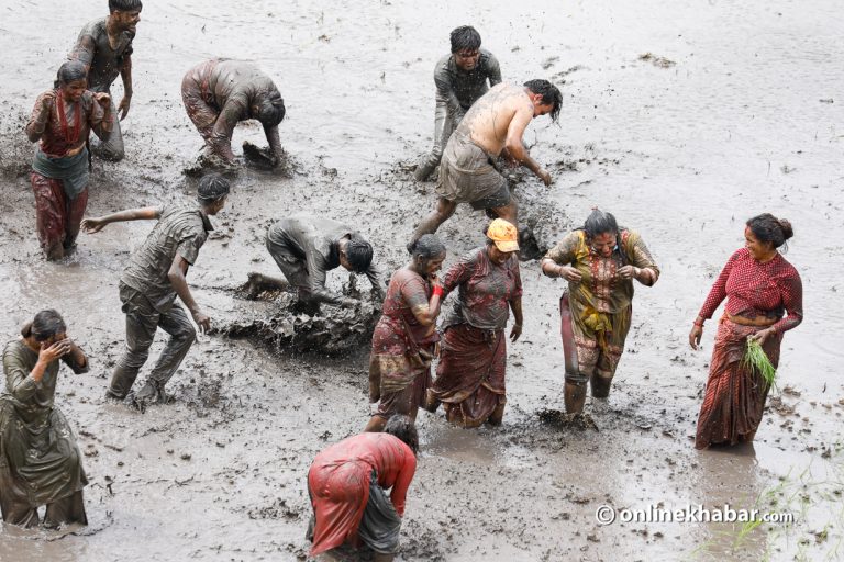 उपत्यकाका फाँटमा असार १५ को ‘सेलिब्रेसन’