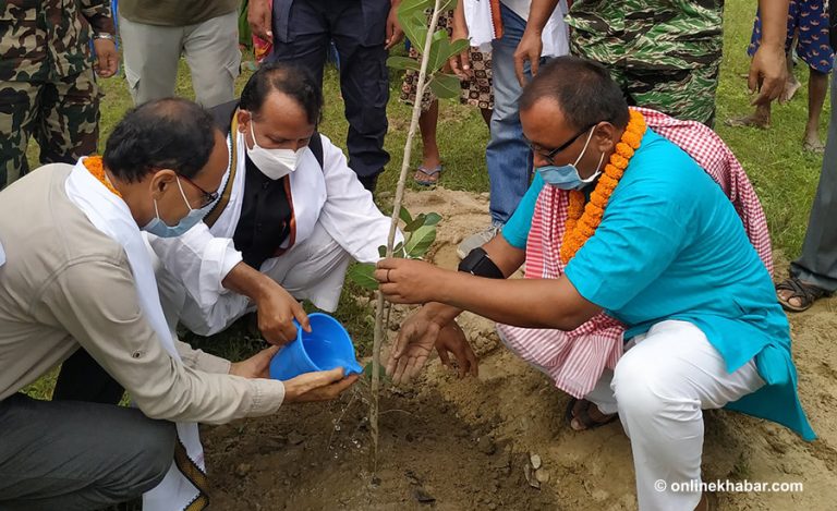 प्रदेश २ मा १४ लाख बिरुवा रोप्ने अभियान सुरु