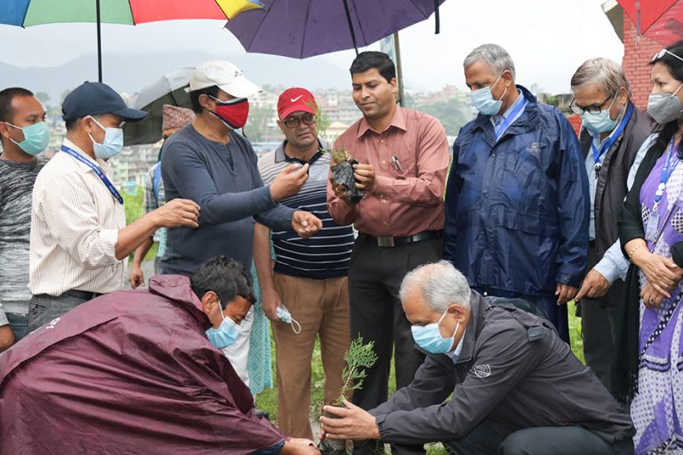 ग्लोबल आइएमई बैंक र विश्वविद्यालय क्याम्पसको सहकार्यमा वृक्षरोपण