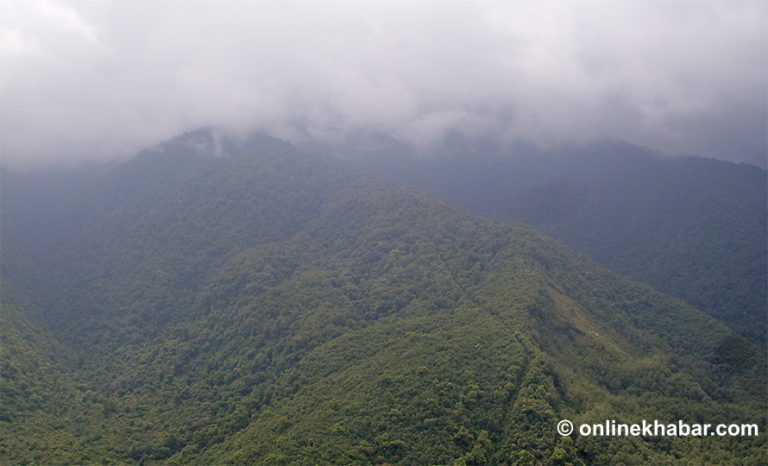 प्रहरीको सम्पर्कमा आए फूलचोकीको जंगलबाट हराएका १३ जना