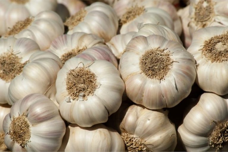 नेपाली र चिनियाँ लसुनको भाउ बढ्यो, किलोको कति ?