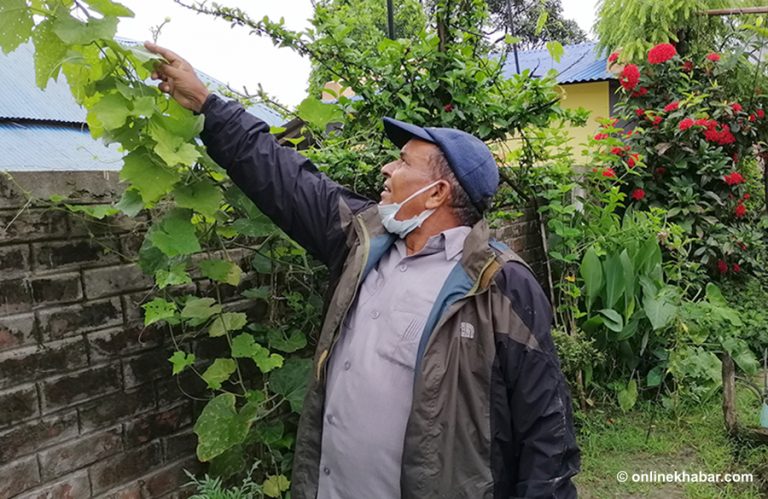 प्रा.डा. देवनाथ यादव : प्राध्यापनपछि कृषि, अब राजनीति !