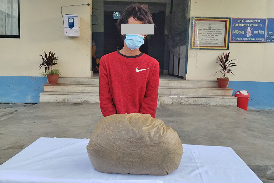 ३ केजी गाँजासहित युवक पक्राउ