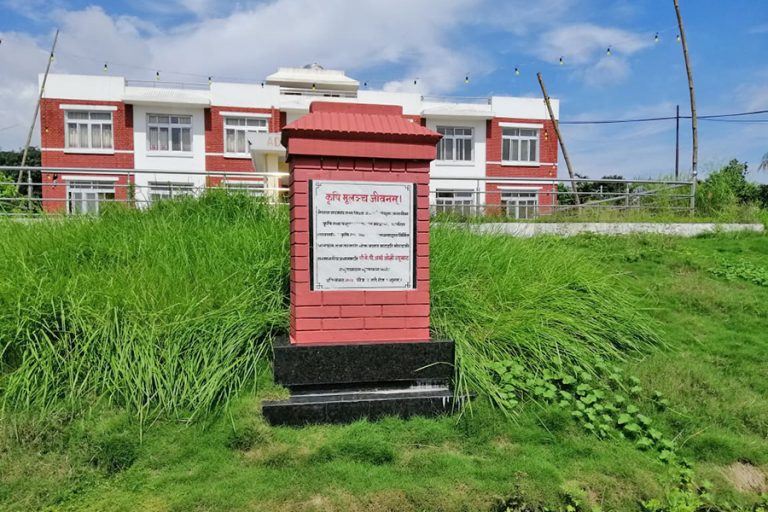 प्रदेश १ सरकारले चलाउन सकेन तरकारी बजार, १४ करोडको संरचना प्रयोग विहीन