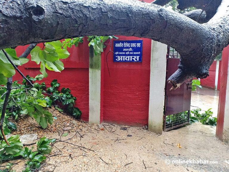 मधेश भवनभित्र रुख खस्दा पर्खाल भत्कियो, विद्युत अवरुद्ध