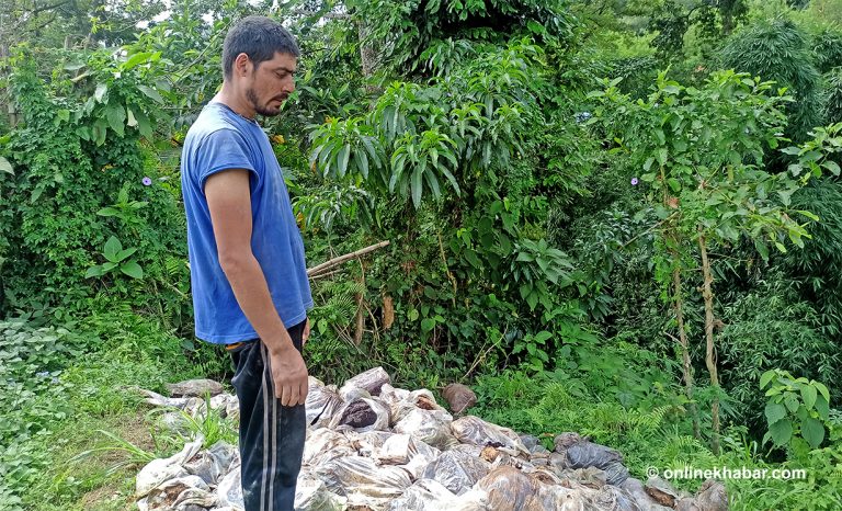 महामारीमा थालेको व्यवसाय डुब्यो, ऋण तिर्न फेरि विदेश