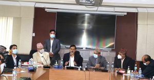 धितोपत्र बोर्ड अध्यक्ष ढुंगानालाई कारबाही गर्न जाँचबुझ समितिको सिफारिस
