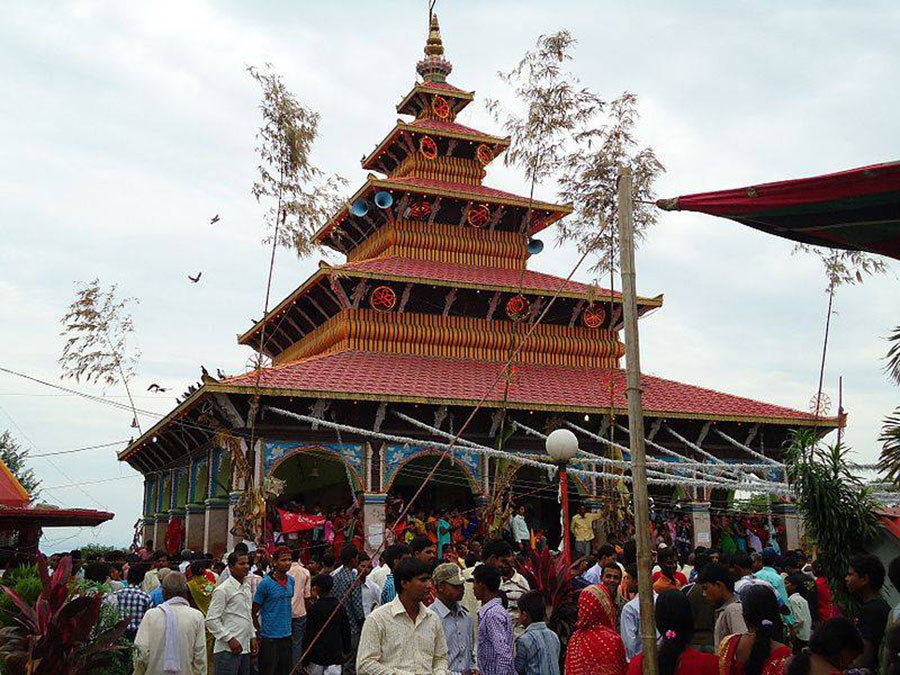 सप्तरीको कंकालिनी मन्दिरमा ७ सय ४४ राँगाको बलि
