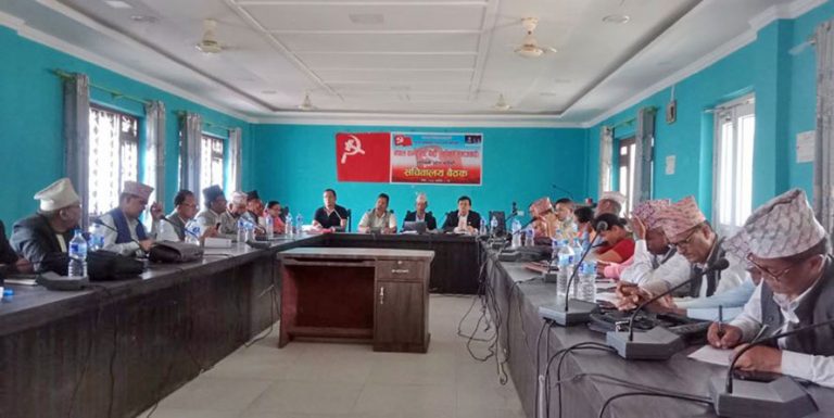 नेकपा एकीकृत समाजवादी लुम्बिनीमा कार्यविभाजन