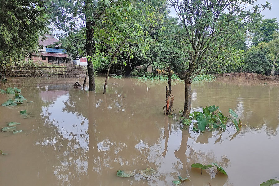 सप्तकोशीमा पानीको बहाव बढ्दै, राजविराज जलमग्न